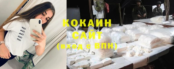 mix Богородицк