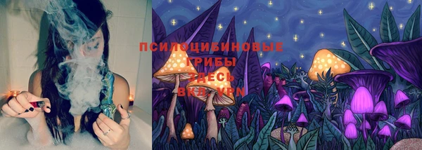 mix Богородицк