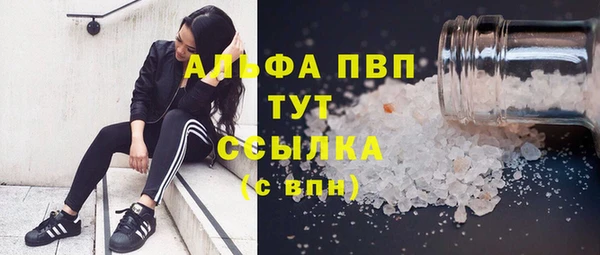 дмт Магас
